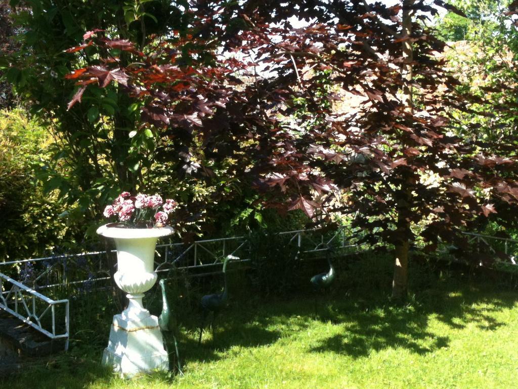 Bed & Breakfast Charlemont House
