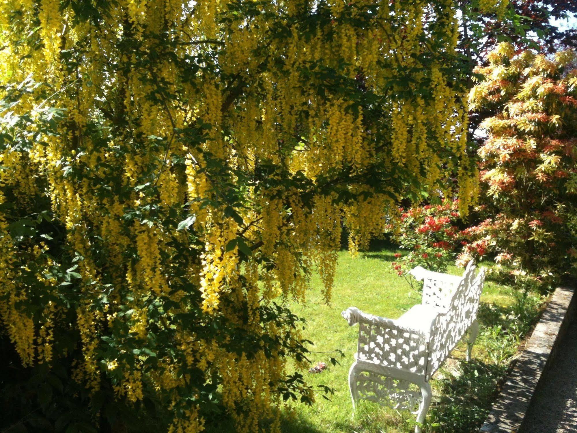 Bed & Breakfast Charlemont House Moy
